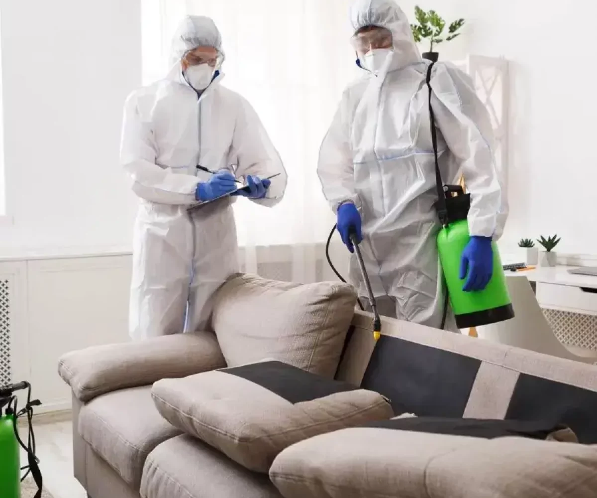 Zwei Mitarbeiter in Schutzanzügen desinfizieren ein Polstersofa, Objektbetreuung