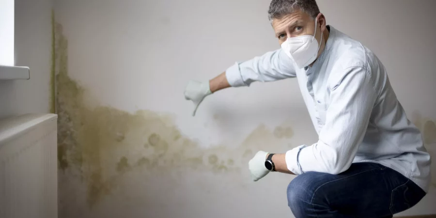 Schimmel in der Wohnung an einer feuchten Wand, während ein Mann mit Maske und Handschuhen auf den Befall zeigt.